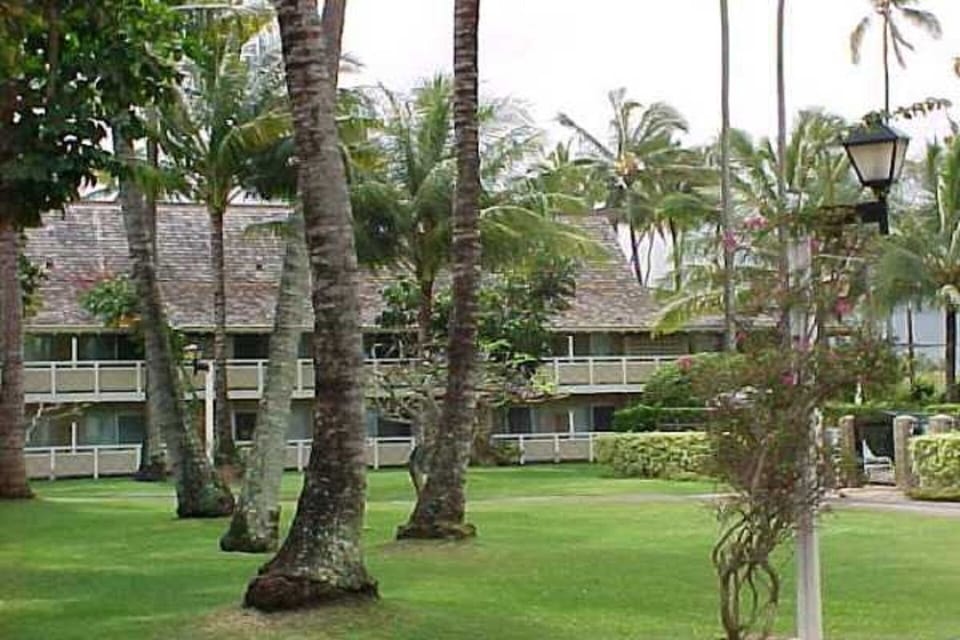 Beautiful Plantation Hale