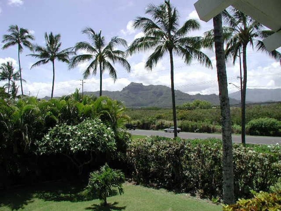 Paradise