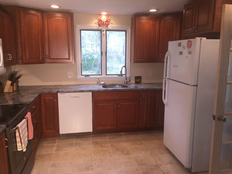Newly renovated kitchen