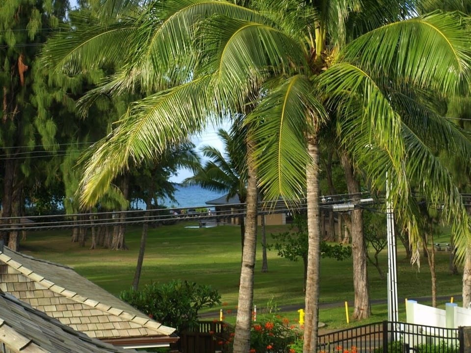 View of the beach park from upstairs Master Bedroom.