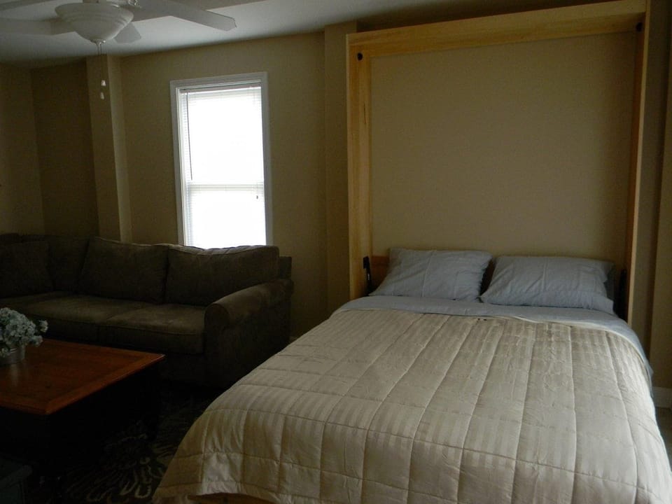 Murphy Bed pulled down