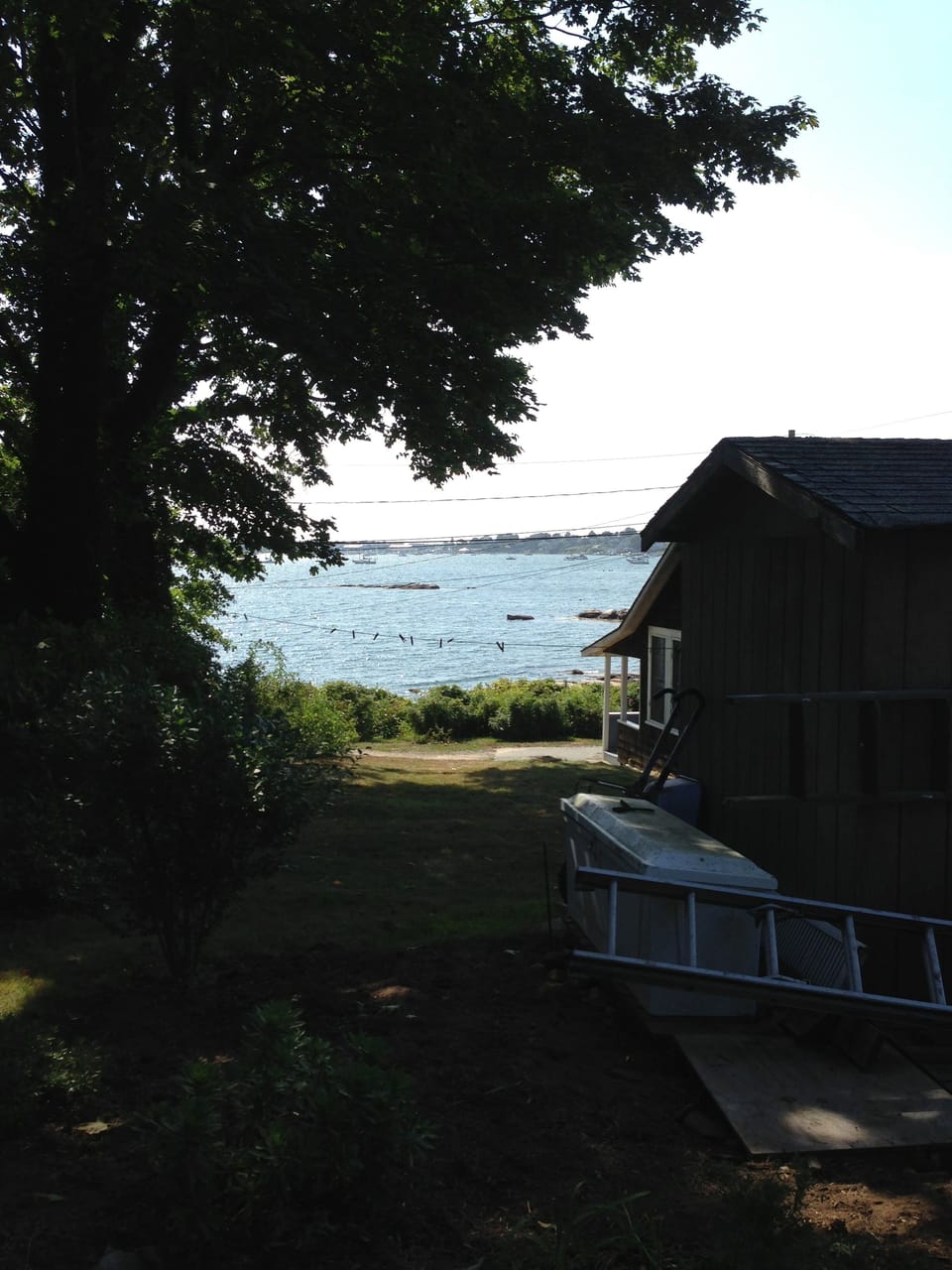 View from bench in shaded area of backyard