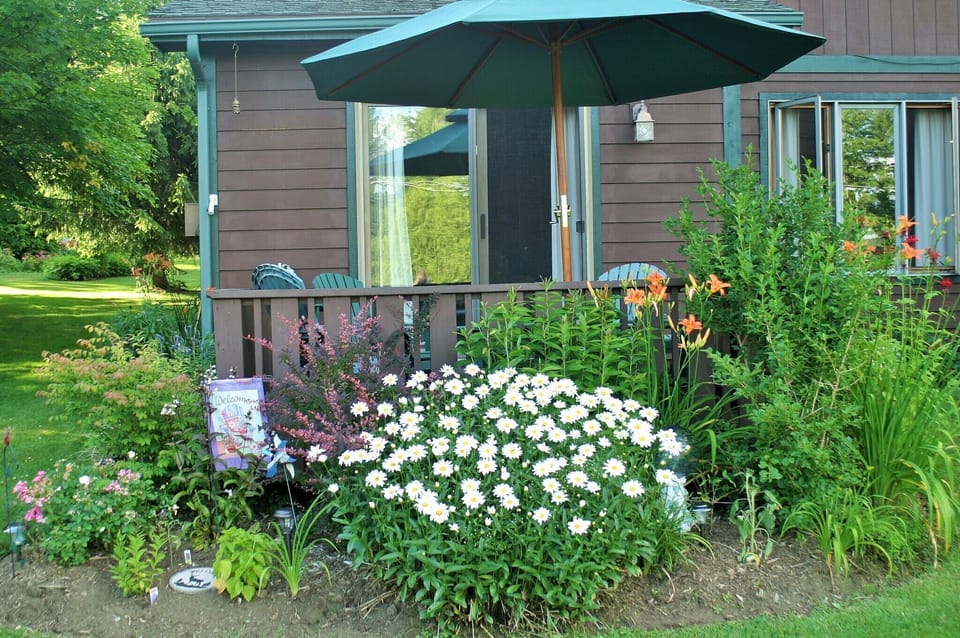Summer deck 