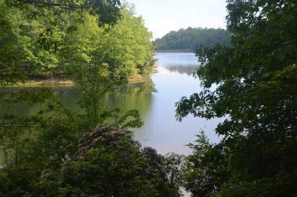 View from screened-in back deck