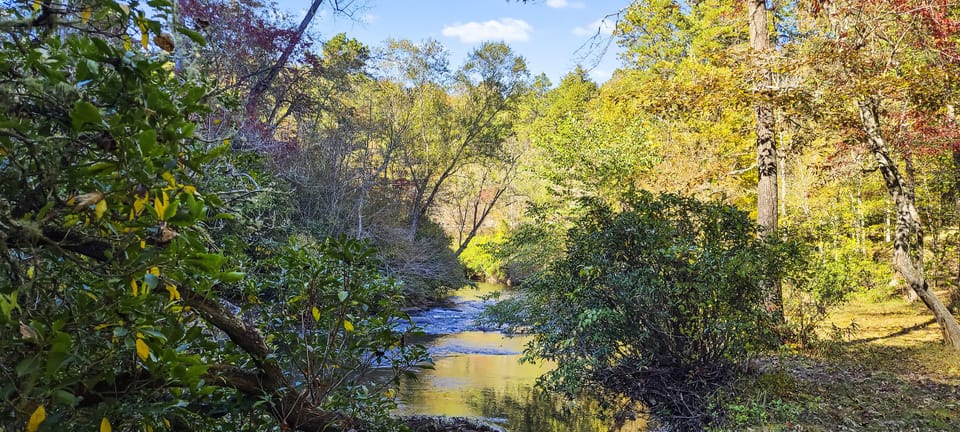700 feet of creek frontage