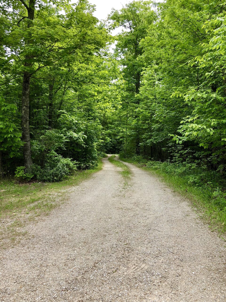 Enjoy walks along the winding road to the Kelley House.