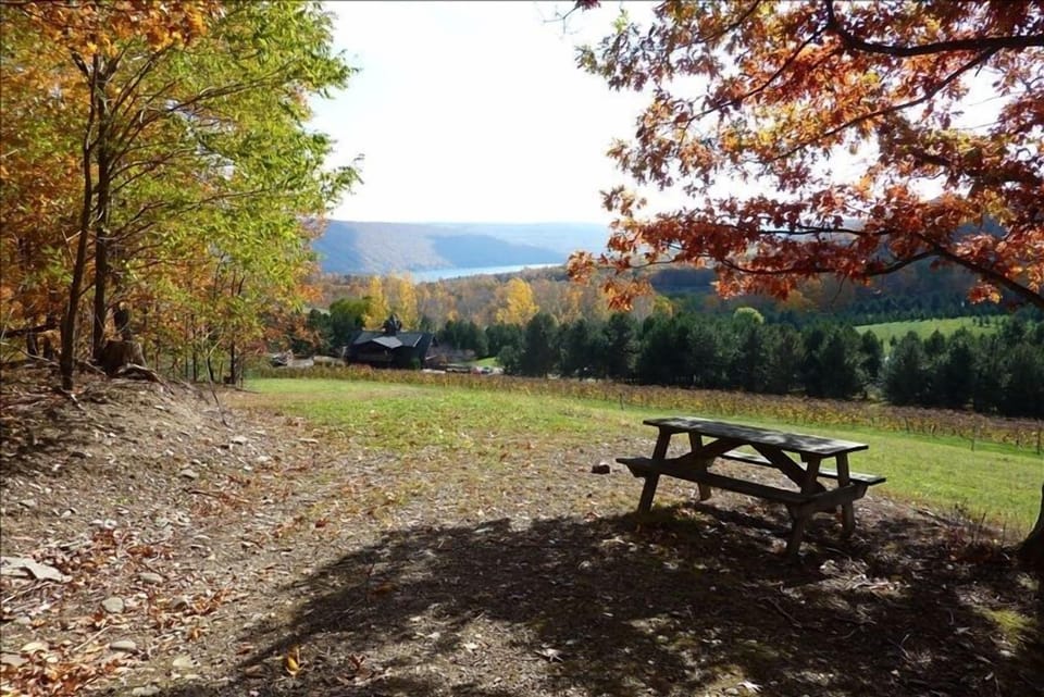 View overlooking property.  Enjoy walking to the woods.  Relax and take in views