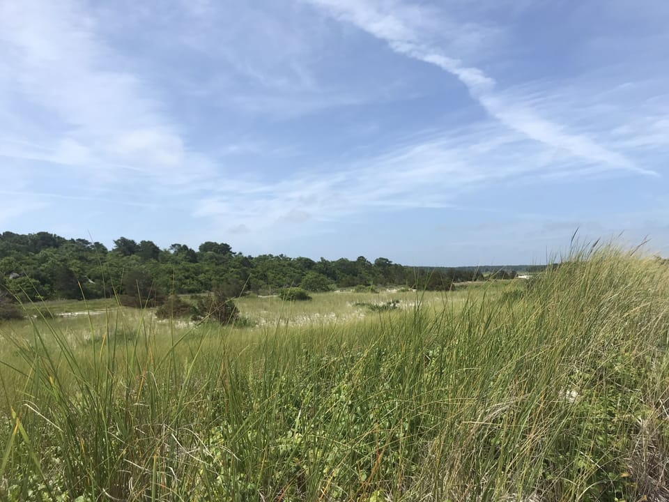 Wing’s Island