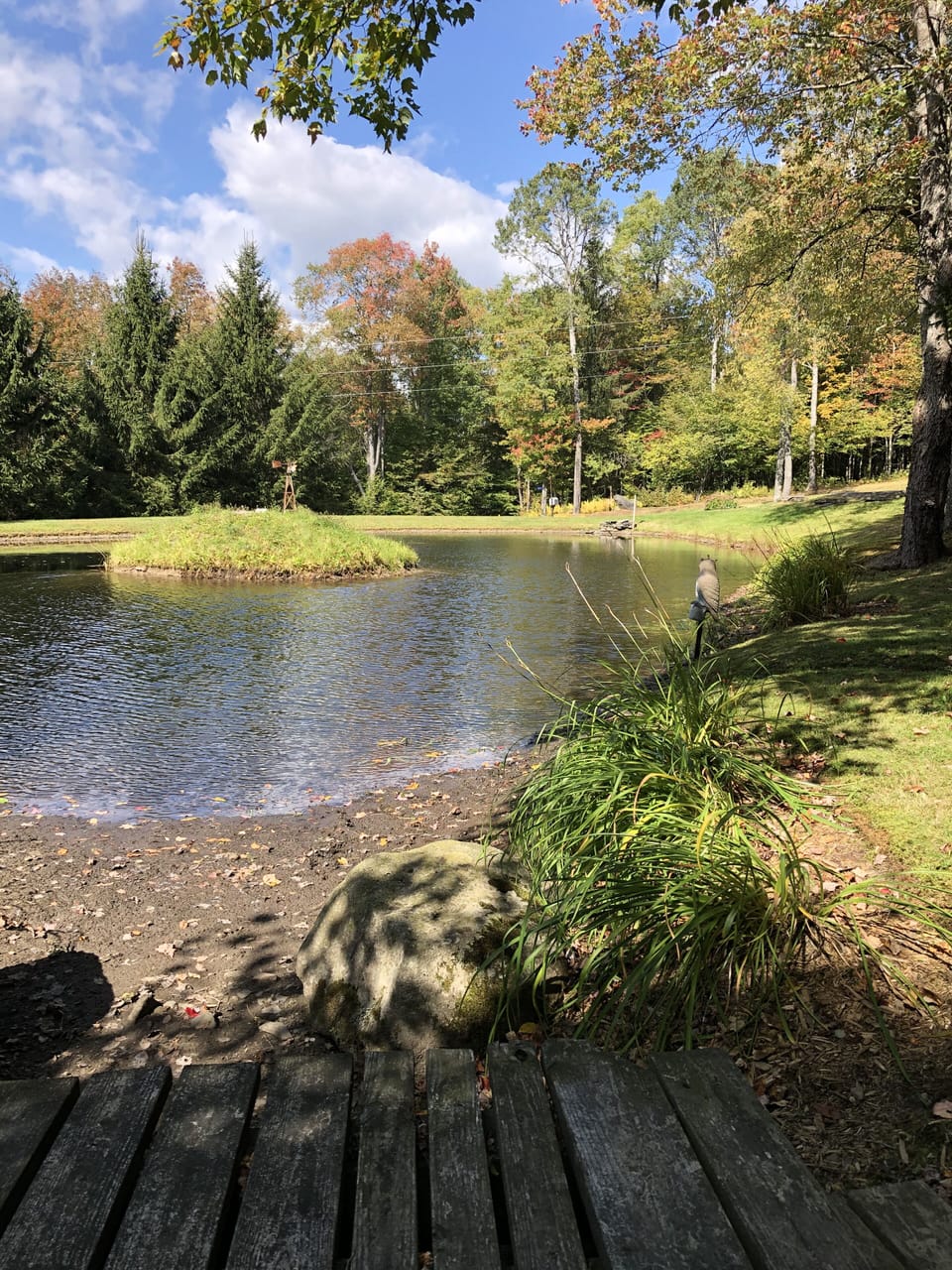 Pond on the property