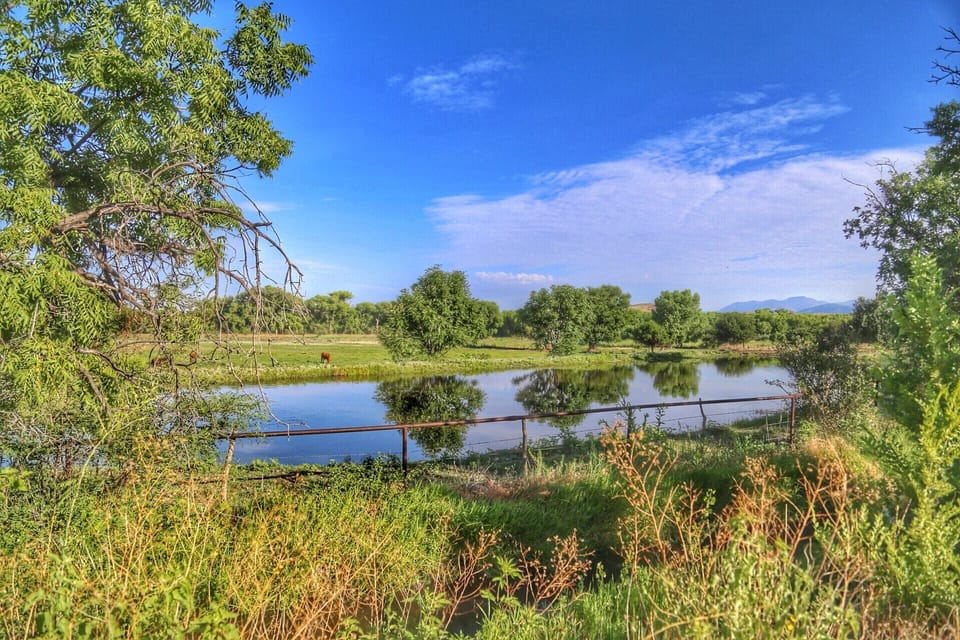 The Old Pond and pasture
