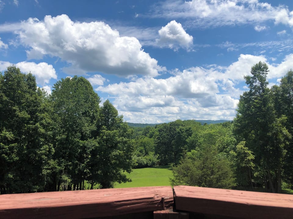 View from property