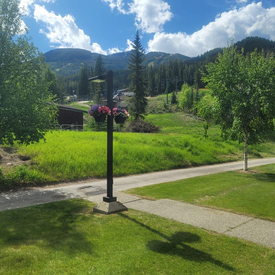 View from the front door