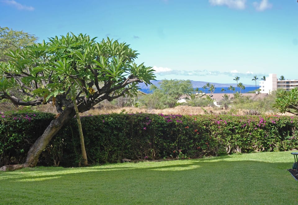 view from lanai