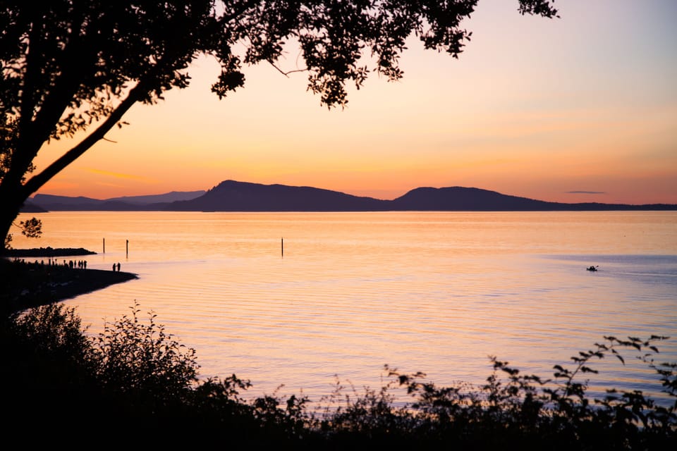 Summer evening