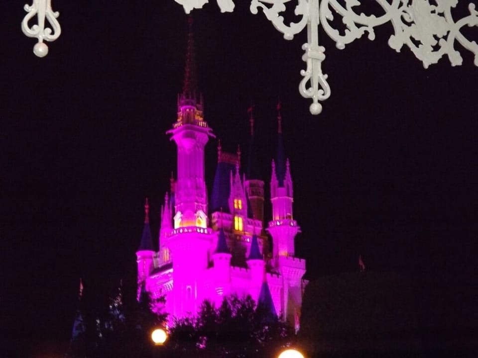 Let our home be your castle for a week or two!