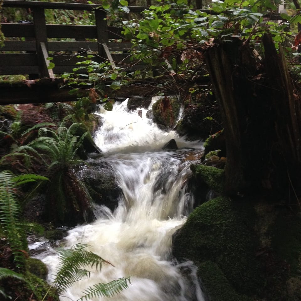 Sargeant Bay waterfall