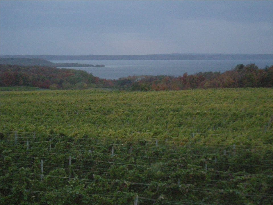 Old Mission Peninsula looking across vineyards to the Bay.