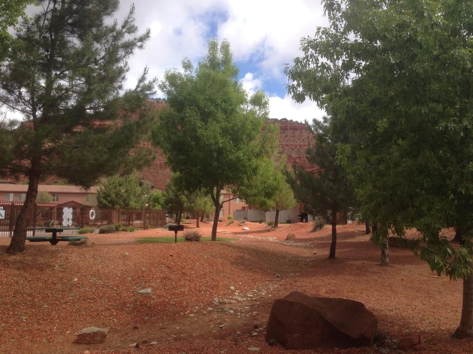 View from back door, looking toward the pool