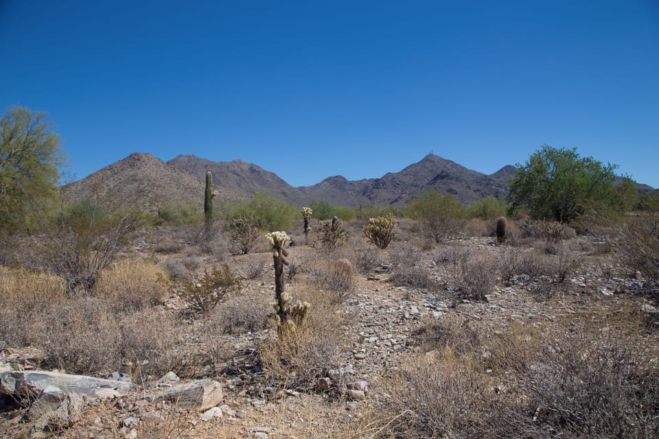 McDowell Mountain views surrounding the complex.