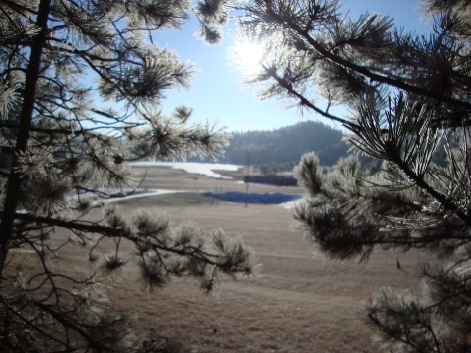 Simple winter scene taken from cabin site, with frozen lake in background