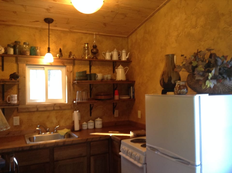 Hunter’s cabin kitchen