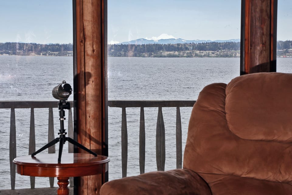 View from Living Room