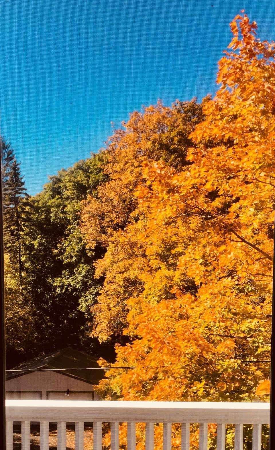 Fall view from 2-twin-bed bedroom