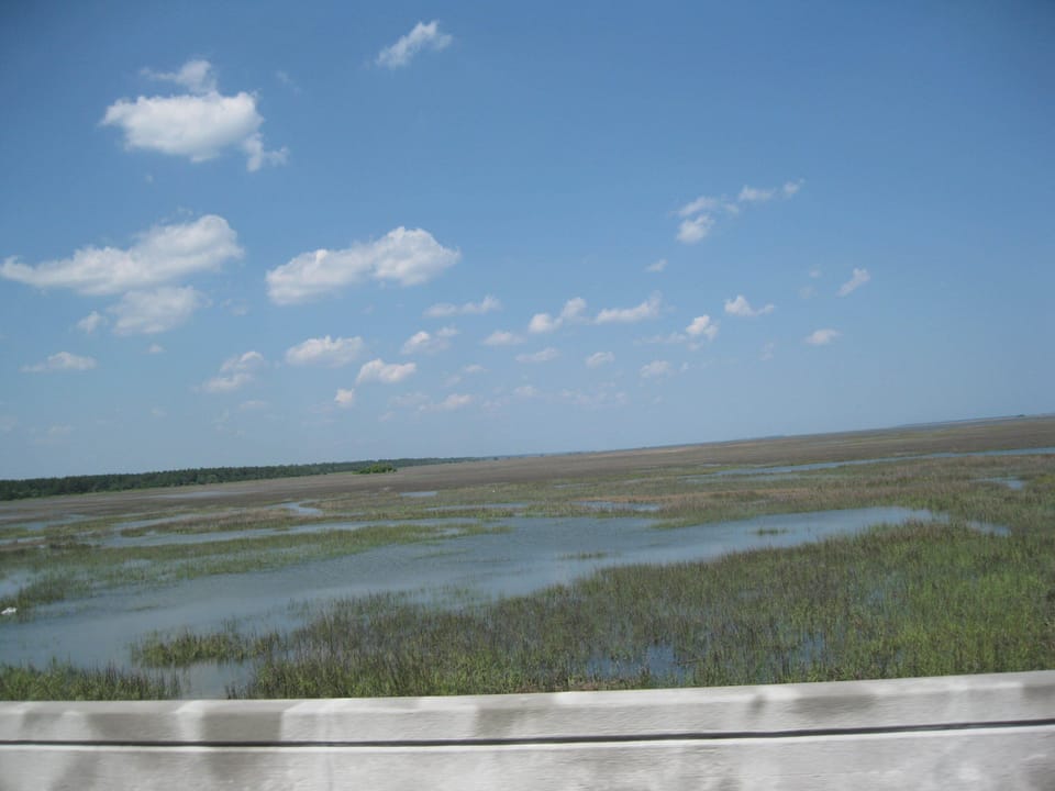Marsh View from the Bridge