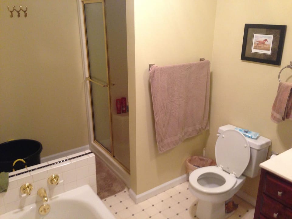 Hall bathroom shower and separate tub