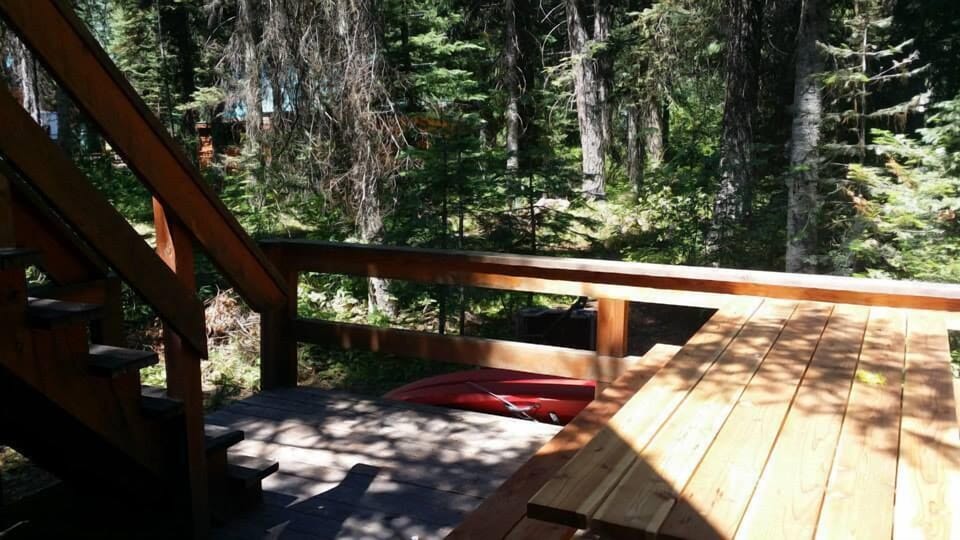 Back deck with large picnic table and gas grill