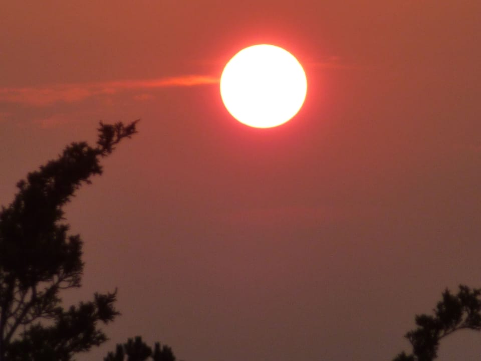 Sunset at Blue Reeds