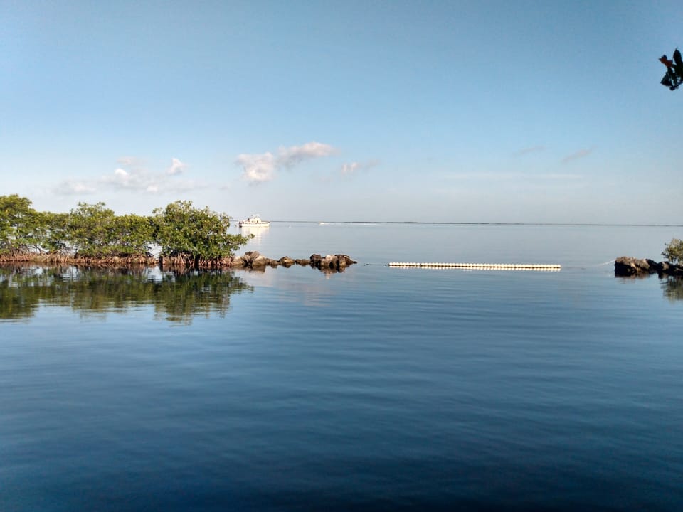 Waterfront park. Walking/biking distance from home. Swim, kayak, sunsets