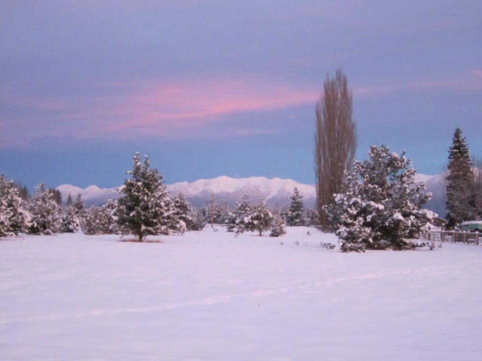 gorgeous winter day on the property