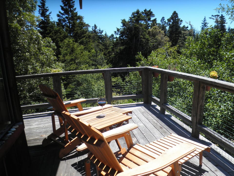 Relaxation, birds, sound of the ocean. 