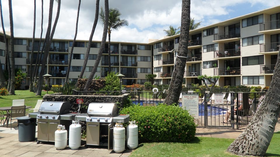 Gas and charcoal barbecues beside solar heated pool; ocean behind camera.
