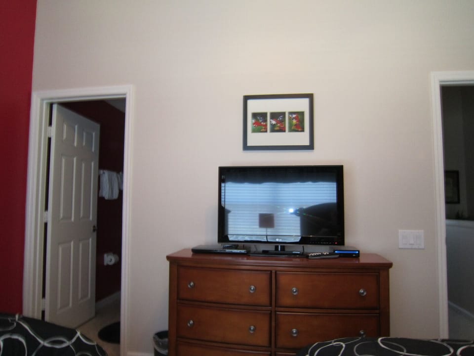 Flat Screen with Wii