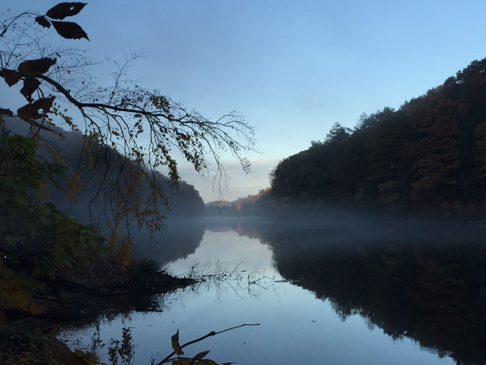 Dusk on the Creek
