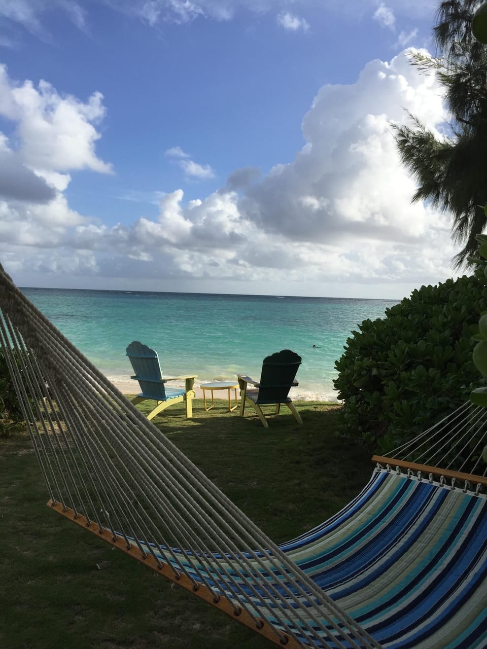 Relax in the hammock!