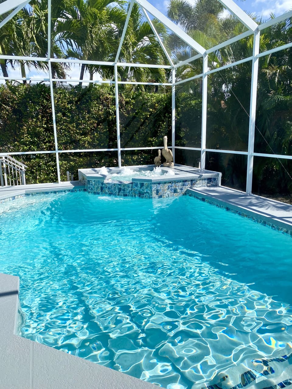 Newly renovated pool in 2023