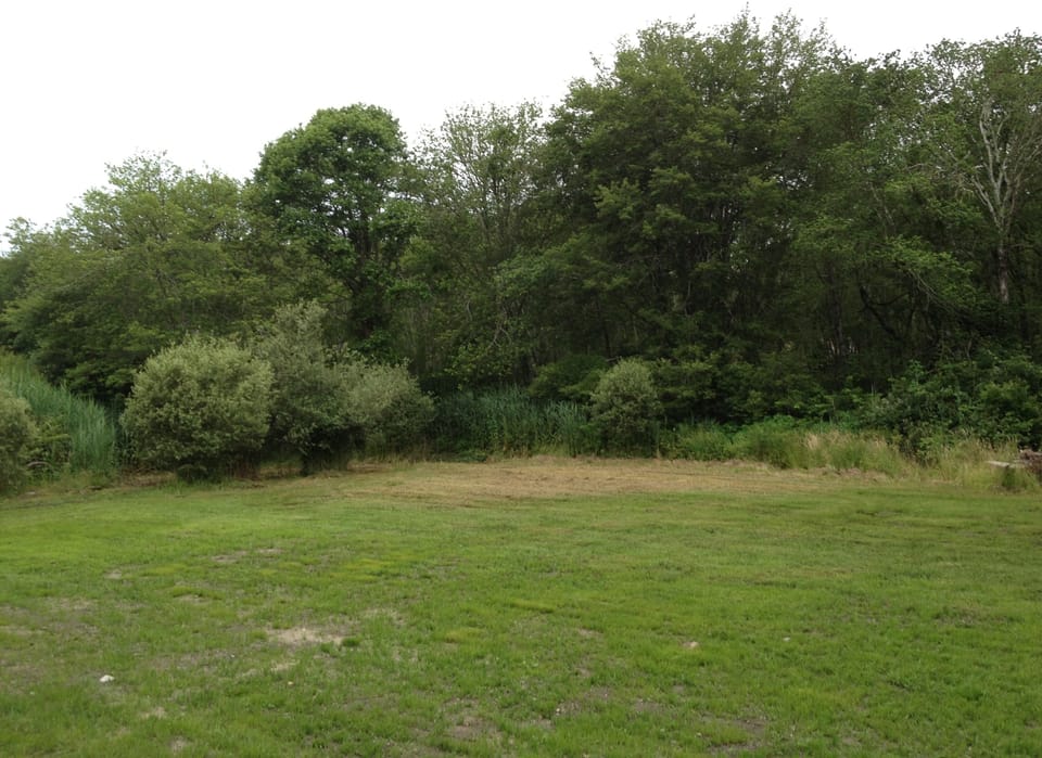 Beautiful back yard abutting woods, very private and quiet