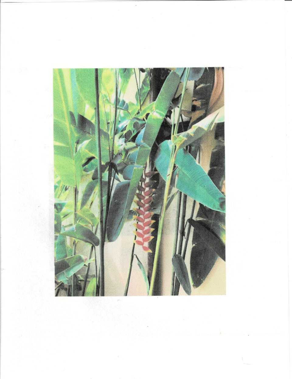 Miscellaneous