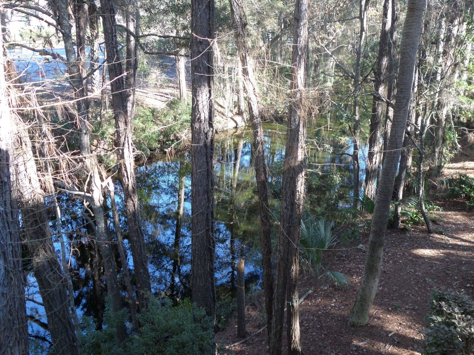 View from deck
