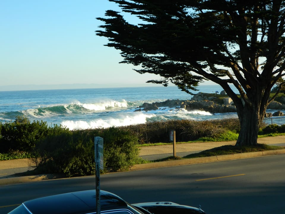 View from bedroom window