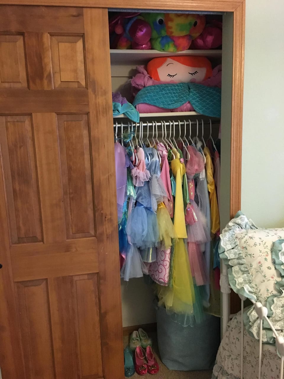 Girls dress ups in closet