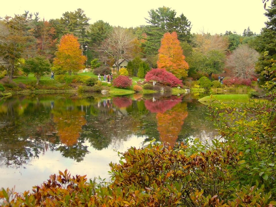 Local public garden in fall, just beautiful