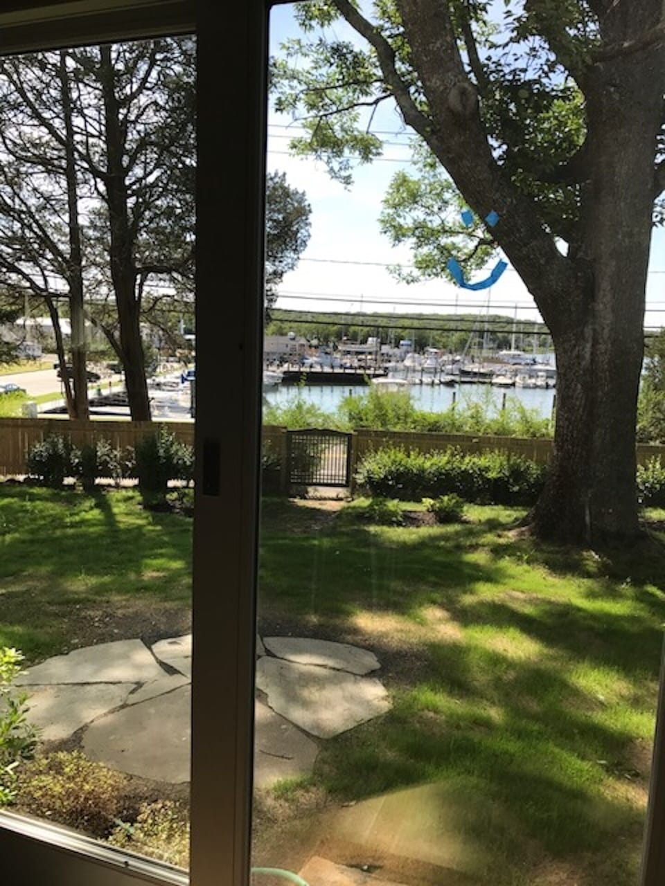  View from dining table