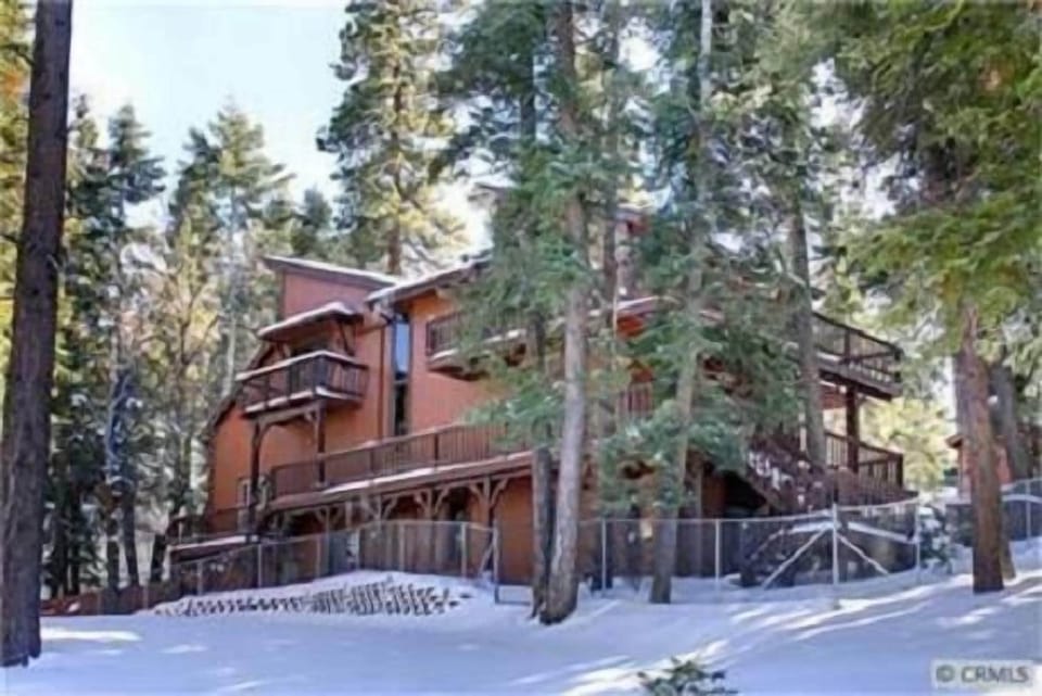 Back of the House, fenced in yard, property extends past fence treed setting
