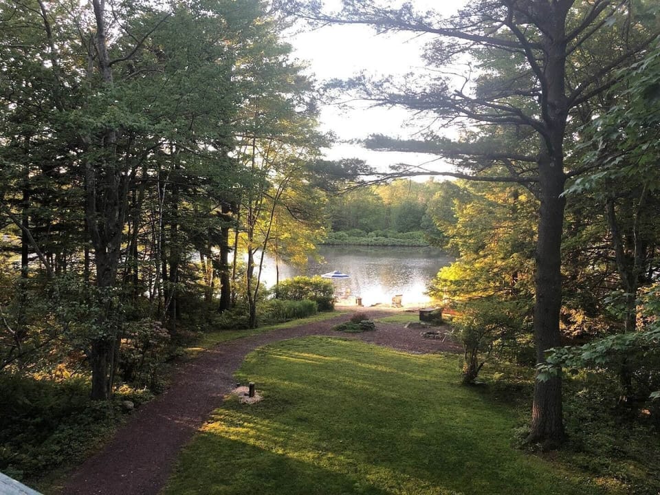 The view from the patio