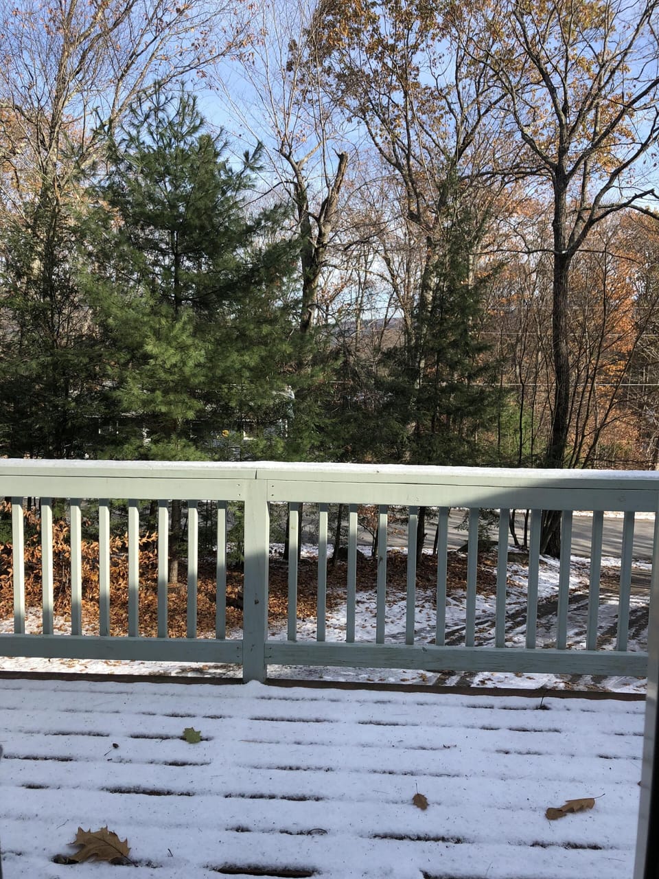 Deck in front