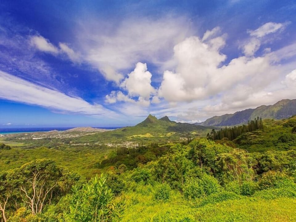 The beautiful windward side of the island!